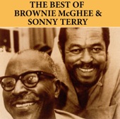 The Best of Brownie McGhee & Sonny Terry artwork