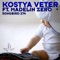 Envy (Easton Vocal Remix) [feat. Madelin Zero] - Kostya Veter lyrics