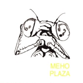 Meho Plaza - george washington