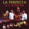 La Perfecta à l'Atrium en Martinique (Live)