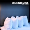 She Loves Zouk, Vol. 4, 2010