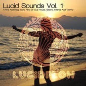 Lucidflow Essential DJ Mix - Sonic Flow Mixed By Nadja Lind artwork