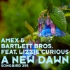 A New Dawn - EP (feat. Lizzie Curious) - Single