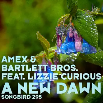 A New Dawn (Fabio XB Rework) [feat. Lizzie Curious] by AMEX & Bartlett Bros. song reviws