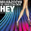 Hey (Nah Neh Nah) [Remixes] {Milk & Sugar vs. Vaya Con Dios} album lyrics, reviews, download