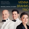 Vienna Brahms Trio - Trio No. 2 in C major Op. 87, Finale - Allegro giocoso