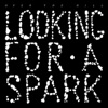 Looking for a Spark, 2009