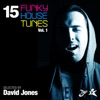 15 Funky House Tunes, Vol. 1 - Selected By David Jones
