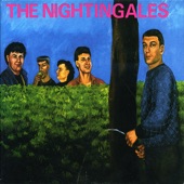 The Nightingales - I Spit In Your Gravy