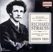 Odeon Trio - Piano Trio No. 2 In D Major, TrV 71: II. Andante Cantabile Ma Non Troppo