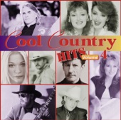 Cool Country Hits, Vol. 4, 2003