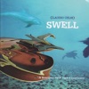Swell, 2007