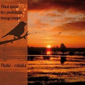 Relax - Ambient Sounds of Birds artwork