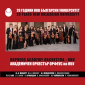20 Years New Bulgarian University artwork