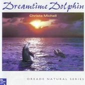 Dreamtime Dolphin artwork