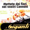 Mettete Dei Fiori Nei Vostri Cannoni