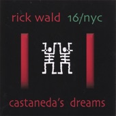 Rick Wald 16/nyc - Pixilation