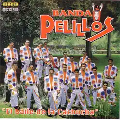 El Baile de la Cachucha - Banda Pelillos