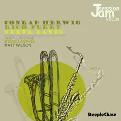 Jam Session, Vol. 28 - Andy LaVerne Jam Session, Vol. 28 - Andy LaVerne