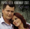 Zsolt Homonnay - Bántottalak