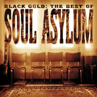 Black Gold by Soul Asylum song reviws