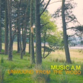 Unwound from the Woods artwork