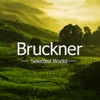 Bruckner: Selected Works