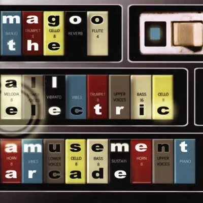 The All Electric Amusement Arcade - Magoo