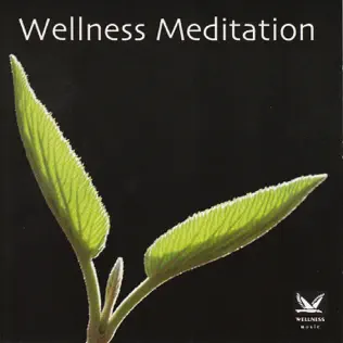 last ned album Various - Wellness Meditation