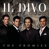 The Promise (Deluxe Versión) artwork