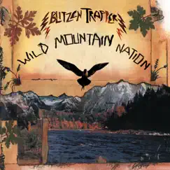 Wild Mountain Nation by Blitzen Trapper album reviews, ratings, credits