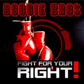 Fight for Your Right (RainDropz! Bootleg Remix) artwork