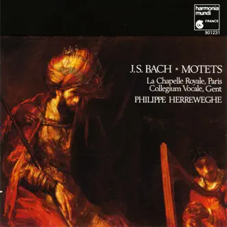 Bach: Motets by Collegium Vocale Gent, La Chapelle Royale & Philippe Herreweghe album reviews, ratings, credits