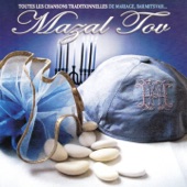 Mazal Tov Barmitsvah Wedding Mariage artwork