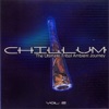 Chillum Vol. 2 - the Ultimate Tribal Ambient Journey
