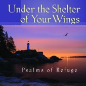 Under the Shelter of Your Wings Psalms of Refuge artwork