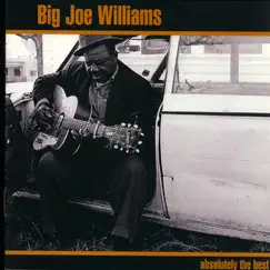 Absolutely the Best by Big Joe Williams album reviews, ratings, credits