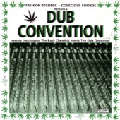 Dub Convention (The Bush Chemists Meets The Dub Organiser) artwork