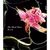 Yume No Hana - Single album lyrics, reviews, download