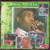 Junior Wells & Friends artwork