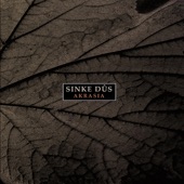 Sinke Dûs - That Which Lies Beyond