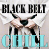 Black Belt Chill - Various Artists