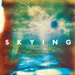 Skying (Bonus Track Version) - The Horrors