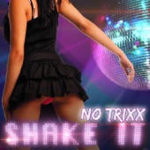 Shake It (Radio Edit) artwork