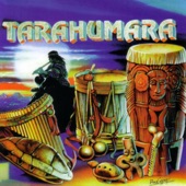 Tarahumara artwork