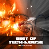 Best of Tech House, Vol. 9 (High Class Tech-House Compilation) artwork