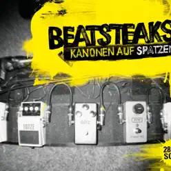 Kanonen auf Spatzen - 28 Live Songs - Beatsteaks