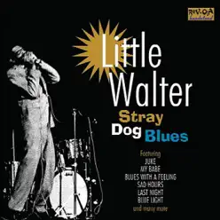 Stray Dog Blues - Little Walter