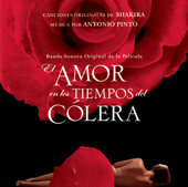 Hay Amores