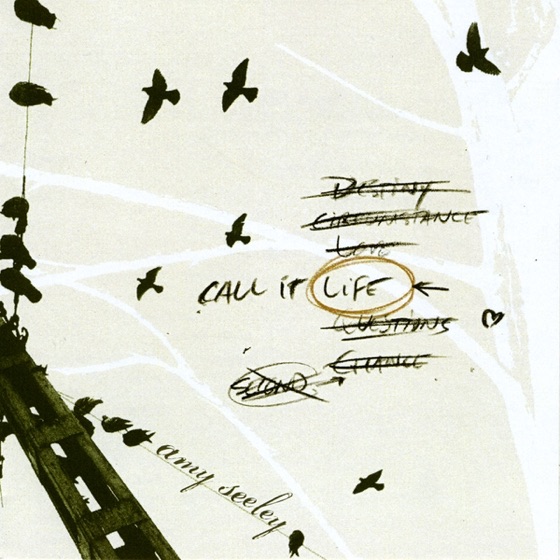 Cover artwork for 25